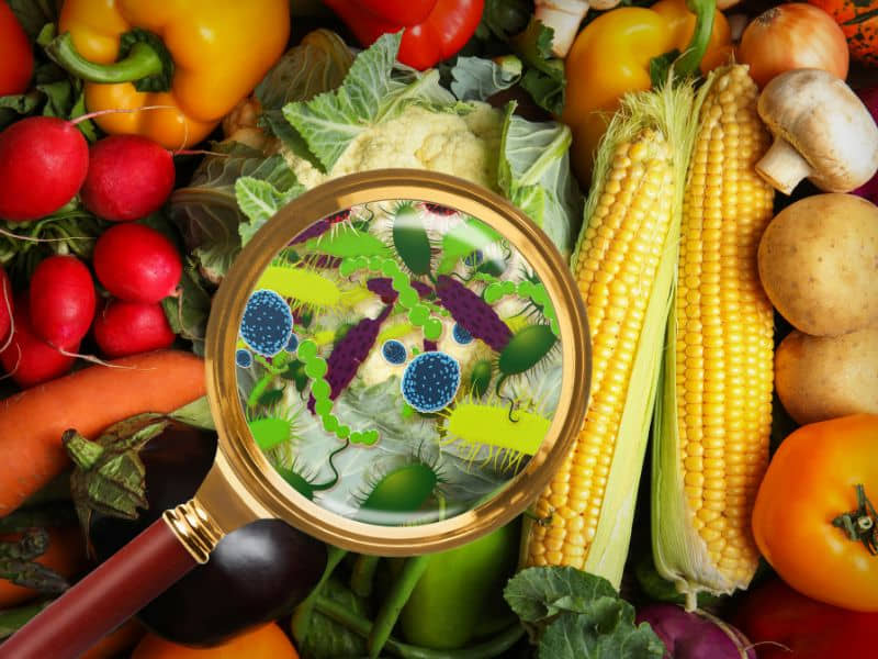 registro sanitario para las empresas alimentarias